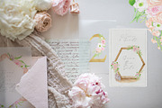 Delicate Dreams. Watercolor Wedding, a Decorative Illustration by Olya Haifisch (Thumbnail 10 of 16)