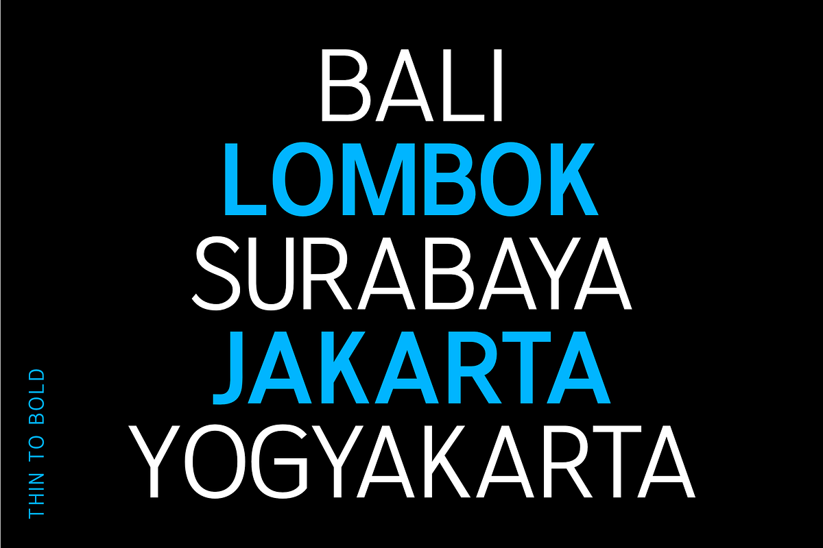 Sanstionale _ Modern Sans Family, a Font by zamjumps (Photo 5 of 12)