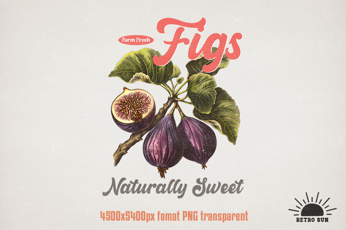 Vintage Fruits Sublimation Bundle, an Object Graphic by GlitterCraft (Photo 20 of 21)