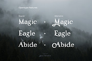 Misty Meadow - Mystical Serif Font, a Serif Font by AndrewPixel (Thumbnail 7 of 8)