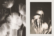 Halftone Floral Backgrounds, a Background Graphic by Natali Batu (Thumbnail 2 of 8)