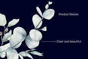 Ijo Biru Greenery Set Watercolor, an Illustration by dekkagraph (Thumbnail 11 of 12)
