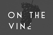 Sans Serif Typeface Collection, a Sans Serif Font by Josh O. (Thumbnail 3 of 8)