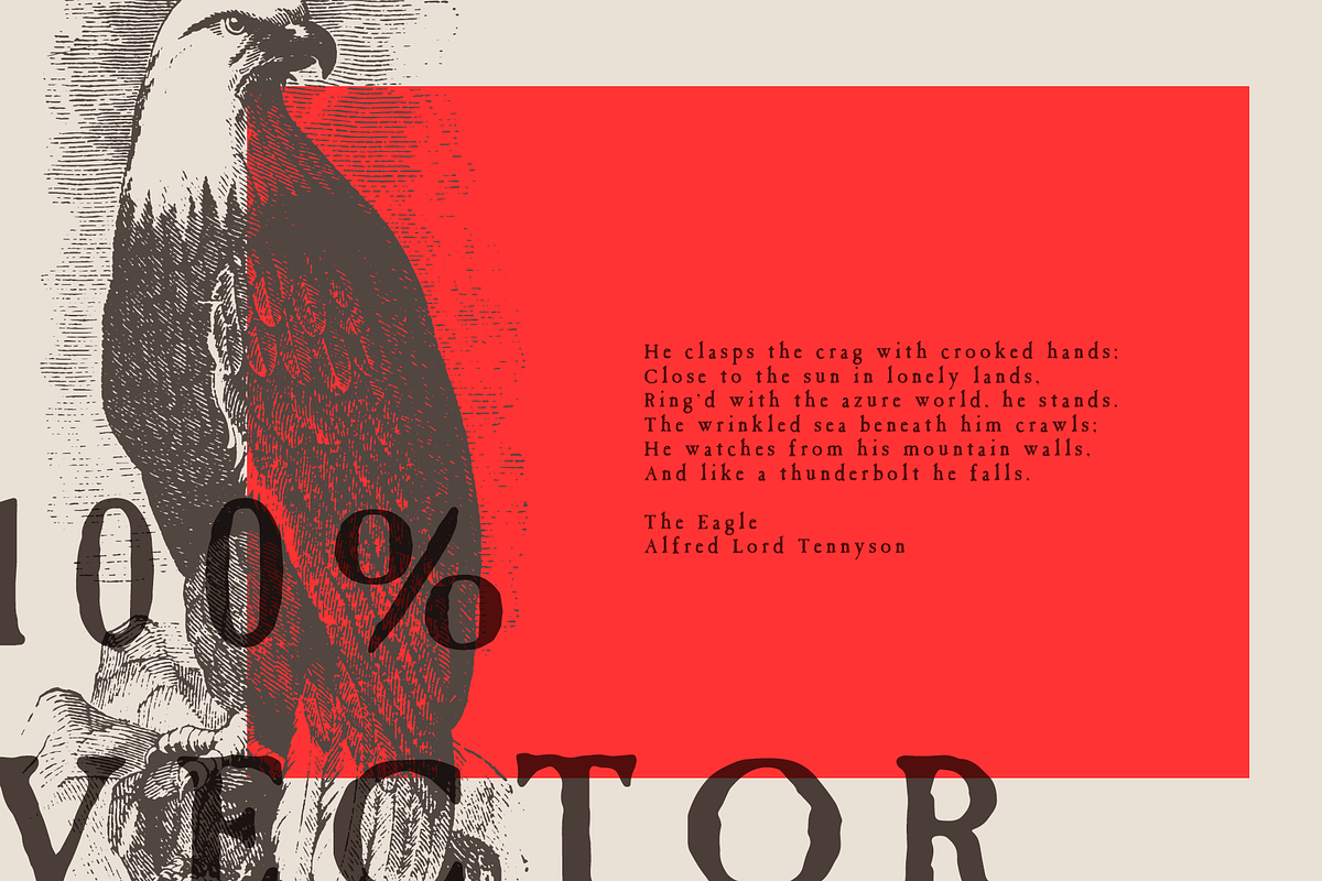 Vintage Eagle Illustrations Vector, an Illustration by Jeffry Macpherson Visuals (Photo 2 of 3)