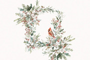 Winter Birds, an Animal Illustration by PeDe Designs (Thumbnail 4 of 6)