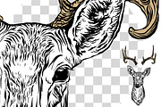 Deer and antlers set., an Object Graphic by ArtOwl (Thumbnail 3 of 4)