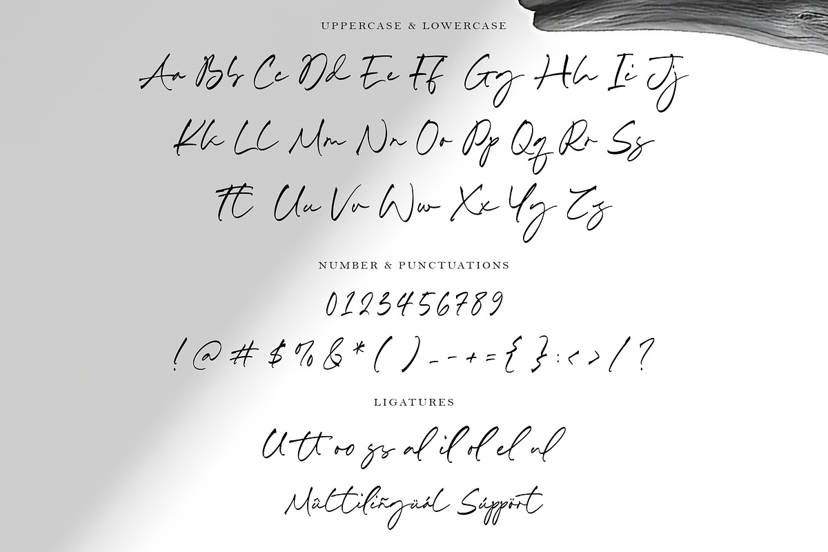 Arietta Hudson Font, a Script Font by Timurtype (Photo 6 of 7)