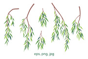 Weeping Willow Branches, a Decorative Illustration by Valentyna Smordova (Thumbnail 2 of 7)