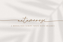 Autumnrose A Chic Monoline Script