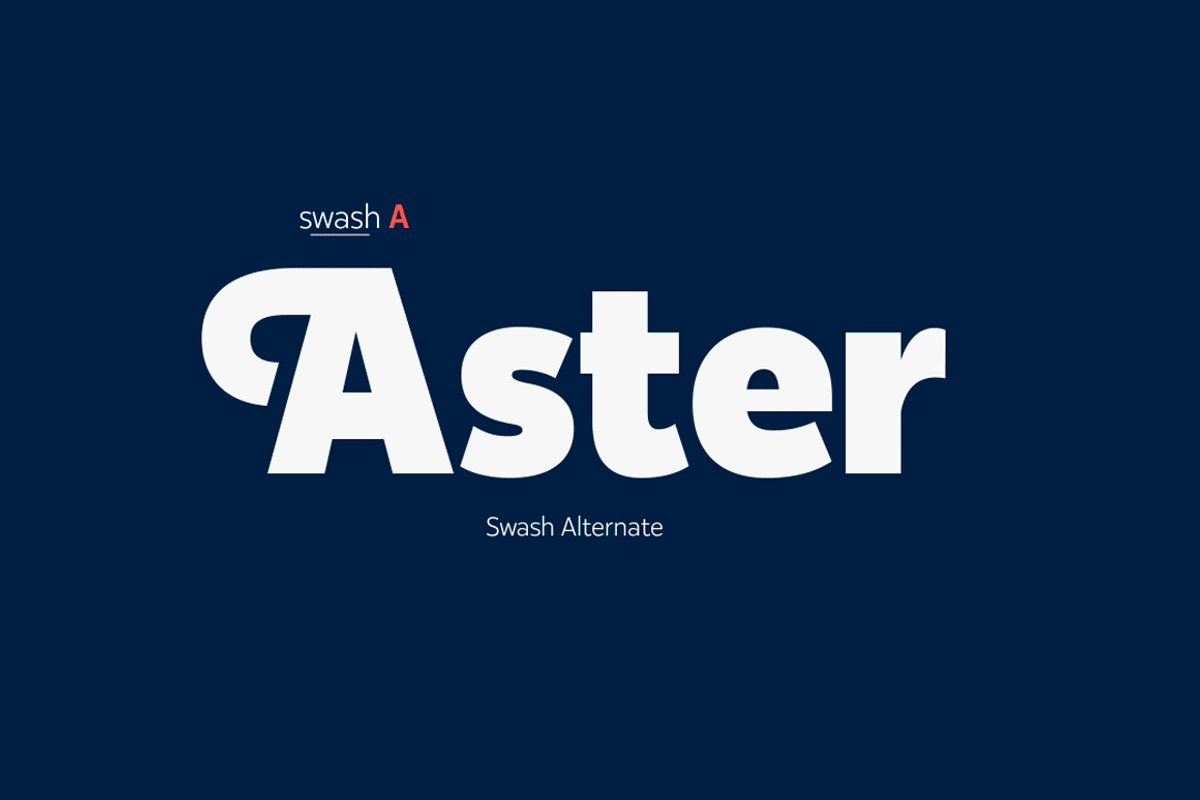 Karu -Serif with character, a Sans Serif Font by Fenotype (Photo 6 of 17)