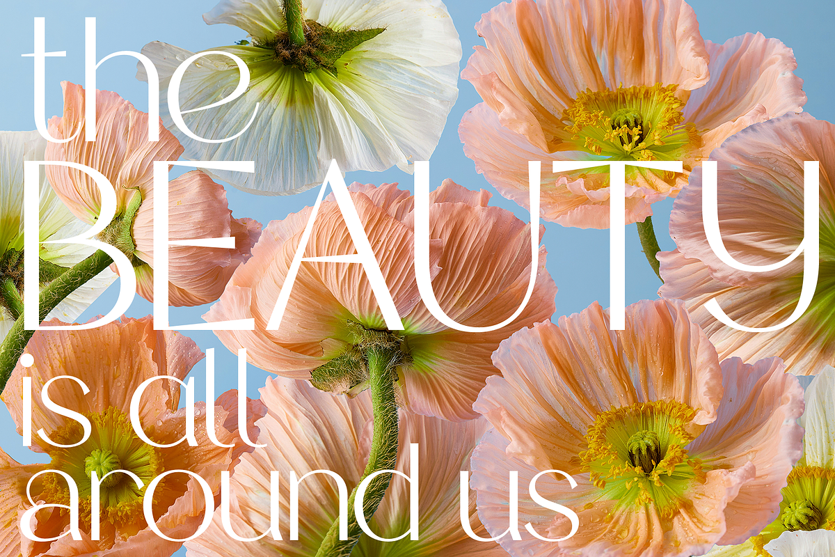 Pink Salt, a Sans Serif Font by Almond Type (Photo 11 of 15)