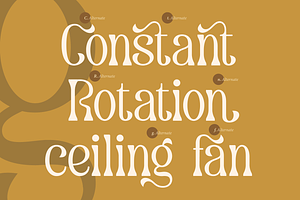 Dearshy Haislein Slab Serif Font