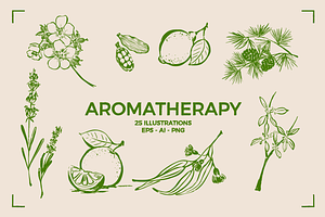 AROMATHERAPY (26 illustrations), a Healthcare Illustration by Bonfloret Studio
