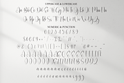 Bodycount | Script Font, a Handwritten Font by Scratchones (Thumbnail 7 of 9)