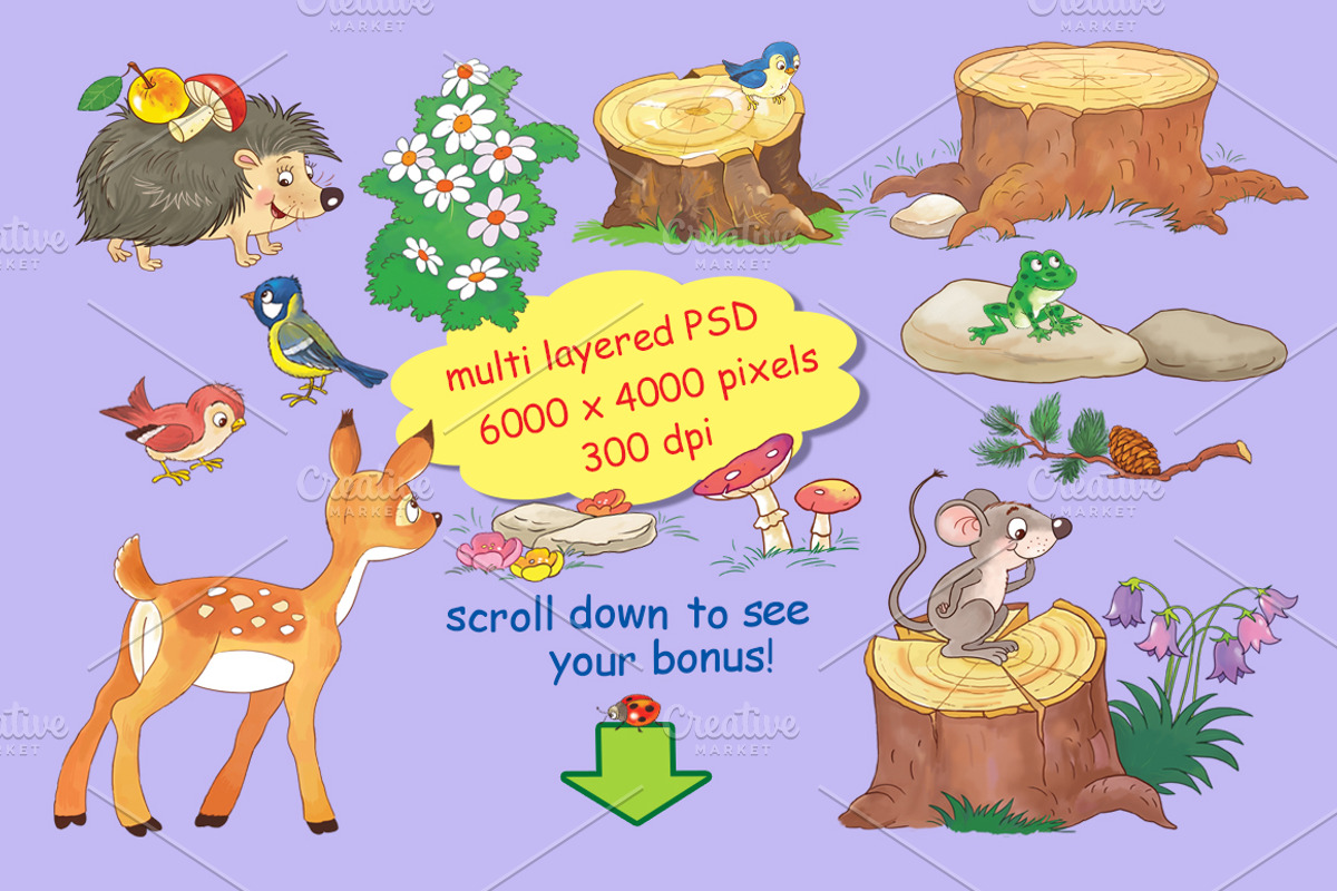 Fairy tale bundle, an Illustration by Haso (Photo 12 of 12)