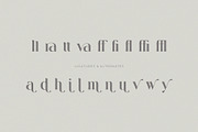 Sallyora – Stylish Modern Serif Font, a Serif Font by BrandSemut (Thumbnail 6 of 9)