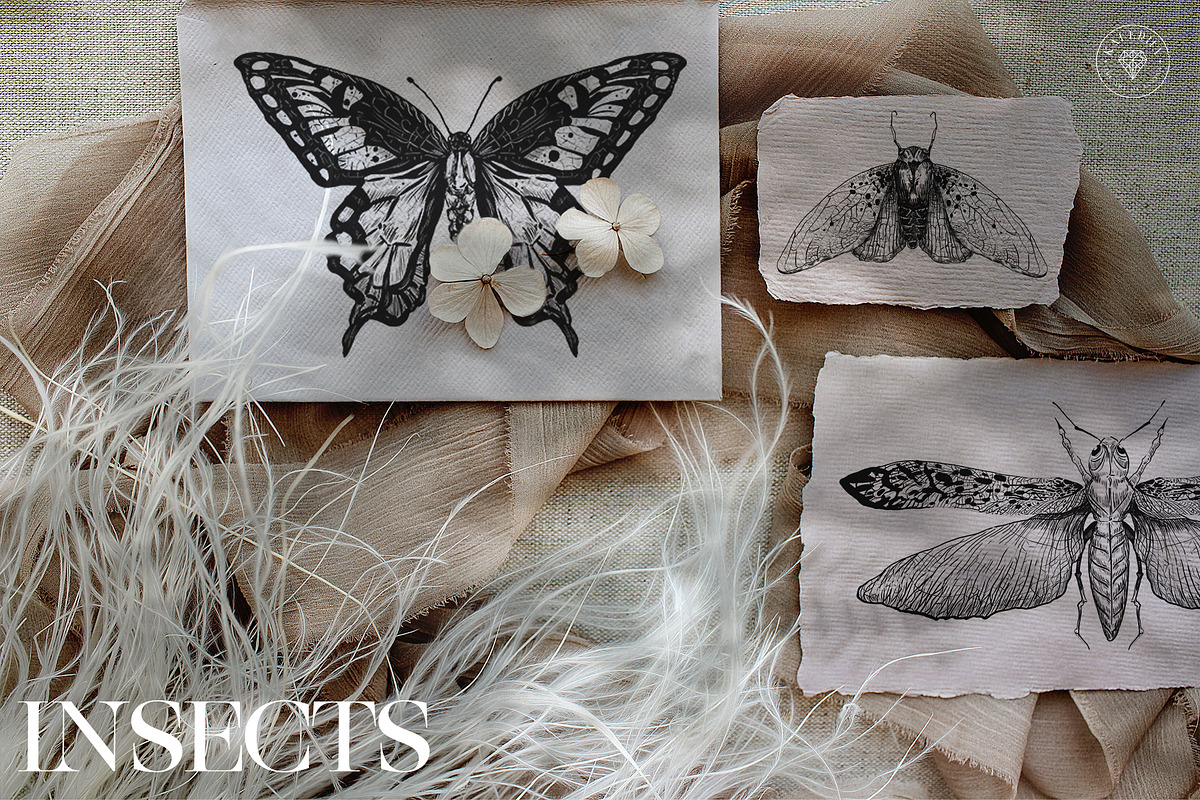 Cicada - Insects & Flowers Ink Set, a Texture Illustration by Kaleriia (Photo 3 of 10)