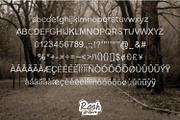 Twig Twag a branchy font, a Font by Rashdrawn (Thumbnail 3 of 3)