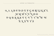 Molagane | Fancy Serif Typeface, a Serif Font by Qaratype (Thumbnail 26 of 26)