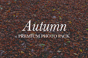 Autumn – 48 HQ Photos, a Nature Photo by Barn Images (Thumbnail 1 of 2)