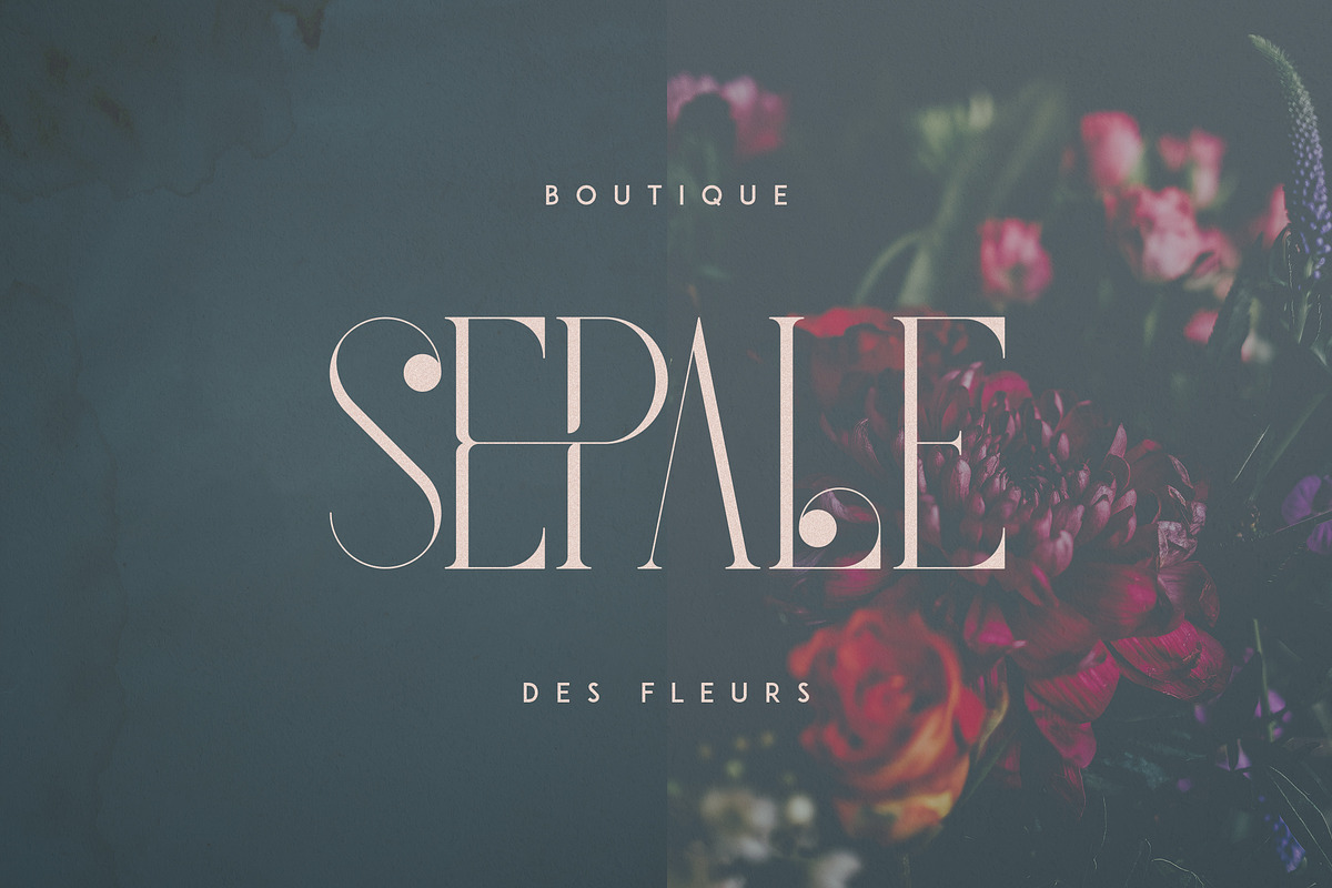 French Typeface - 4 fonts, a Serif Font by VP Fonts (Photo 3 of 9)