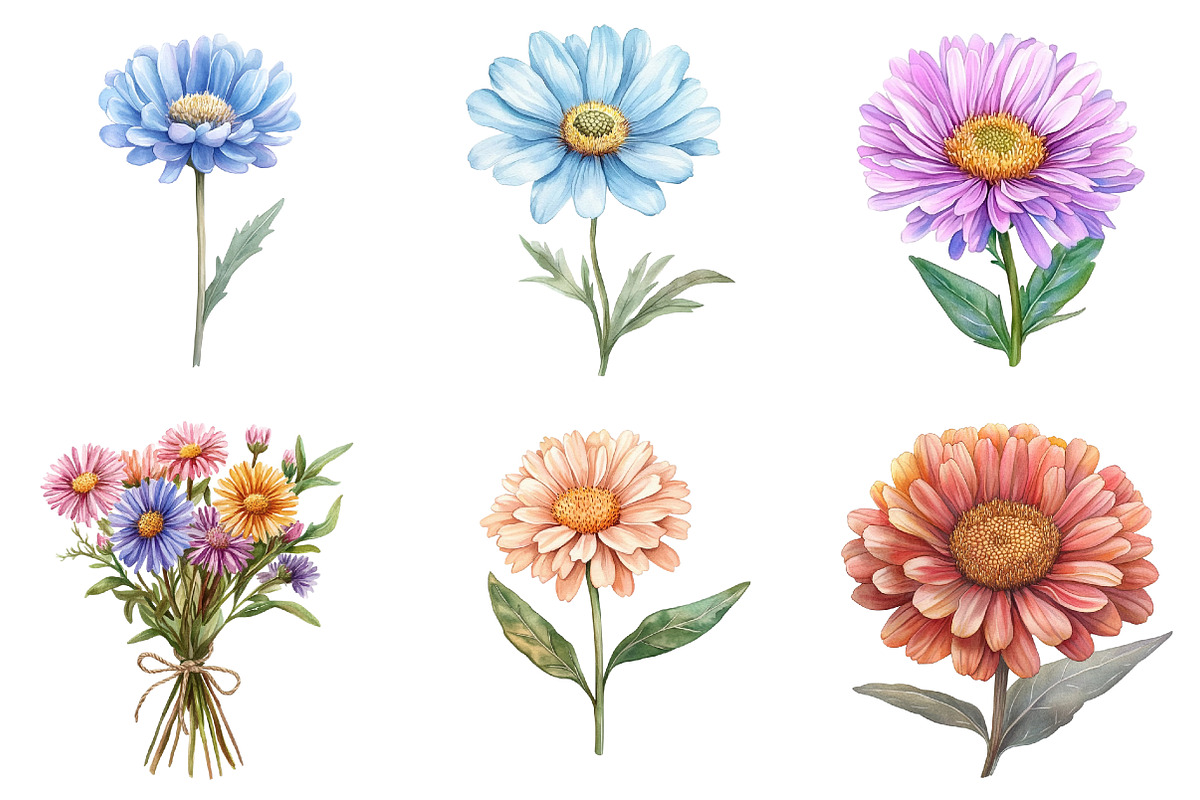 Watercolor Aster Flowers Botanical C, an Illustration by Watercolor design (Photo 3 of 4)