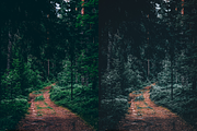 10 Forest Lightroom Presets, a Preset Add-On by RamsaGraphi (Thumbnail 8 of 10)