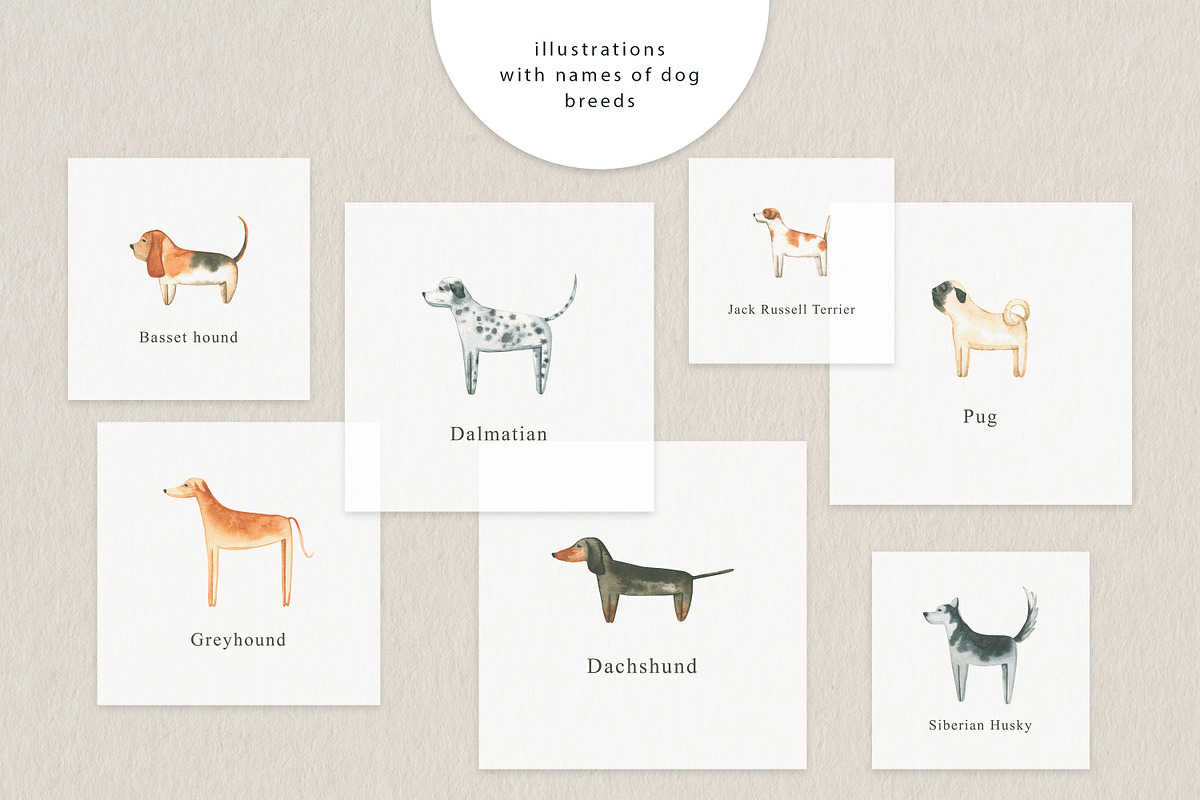 Adorable Dogs. Watercolor set., an Animal Illustration by Ola_Vola (Photo 5 of 8)