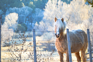 Winter coat stock photo