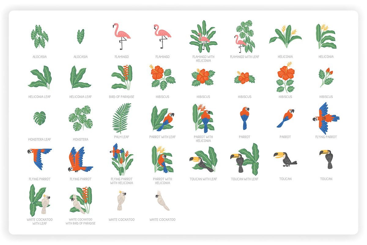 36 Tropical Elements + 12 Patterns, an Object Graphic by monkik (Photo 8 of 11)