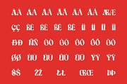 Derenis - Mixed Display Font, a Sans Serif Font by Brainwaves.Studio (Thumbnail 4 of 10)