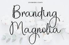 Branding Magnolia