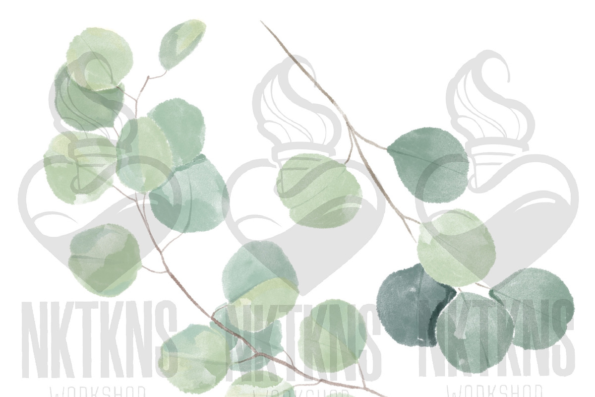 Watercolor Eucalyptus clipart, an Illustration by NKTKNS (Photo 4 of 7)