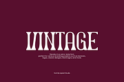 Daxokur - Retro Serif Font, a Slab Serif Font by Iqsiart Studio (Thumbnail 3 of 7)