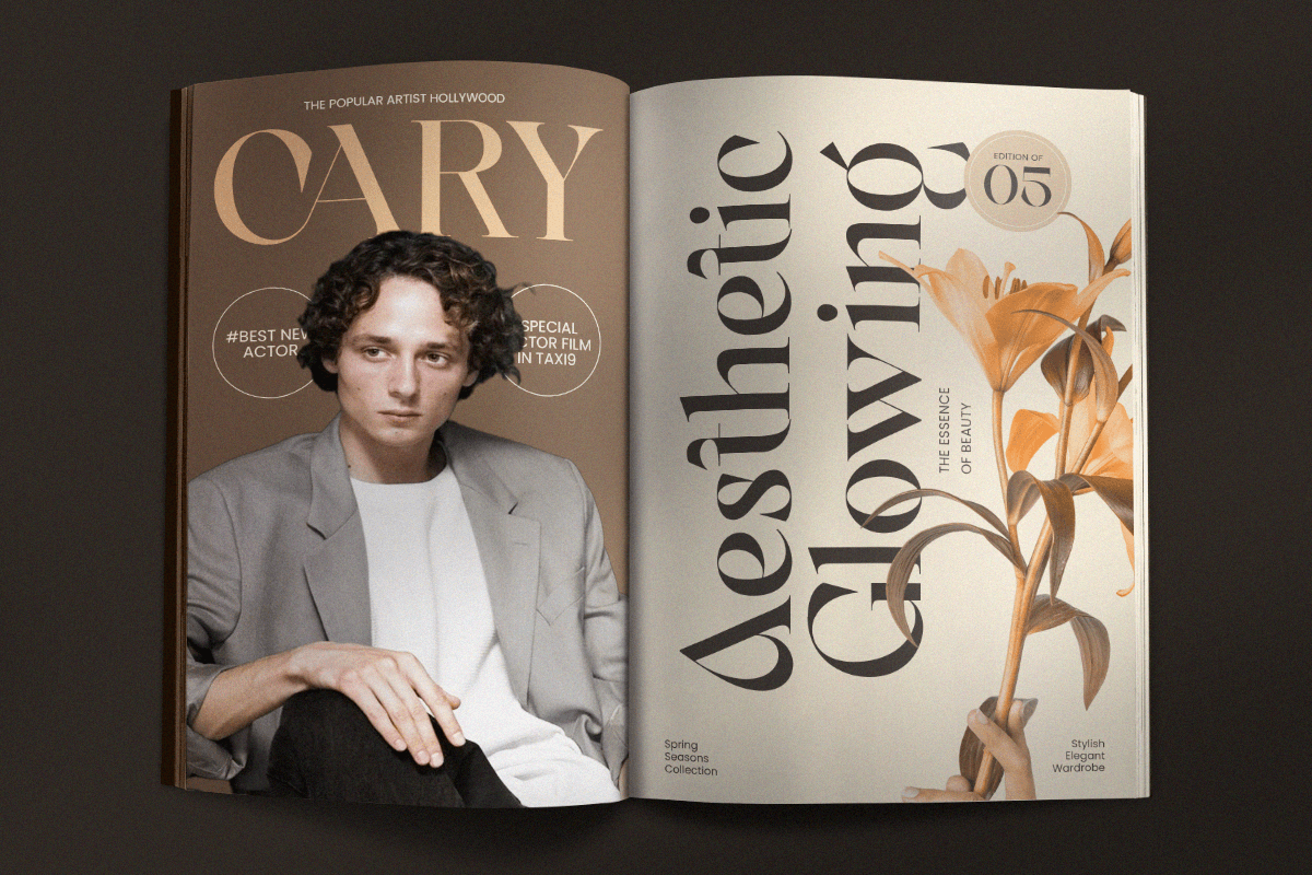 Erazer – Luxury High Contrast Serif, a Serif Font by Sensatype (Photo 4 of 12)