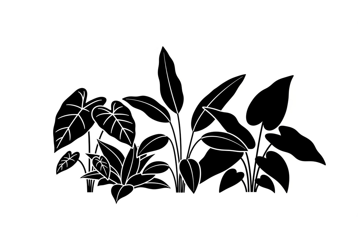Minimal Botanical Leaf Silhouette Bu, an Illustration by Creativeshirt (Photo 46 of 51)