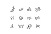 Plant Seed and Nuts vector icon set, an Object Illustration by Tettygreen (Thumbnail 2 of 3)