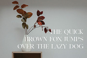 Benfika - Modern Stylish Serif, a Serif Font by TypeLogue (Thumbnail 2 of 5)