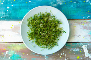 Fresh green cress microgreens on a white plate. Healthy sprout plant ingredient, a Food & Drink Photo by Eugene_Photo