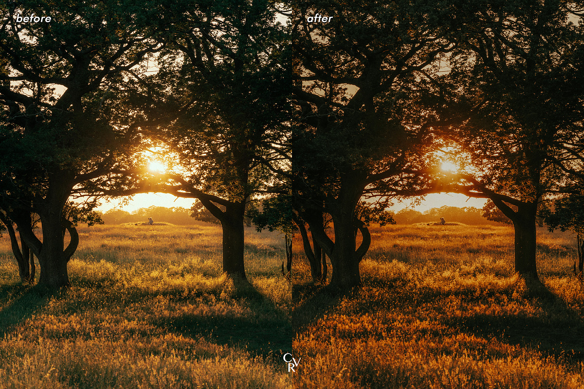 10 Sunkissed Lightroom Presets, a Preset Add-On by CVR Presets (Photo 7 of 7)