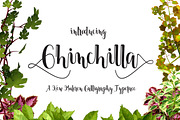 Chinchilla, a Script Font by danti (Thumbnail 1 of 7)