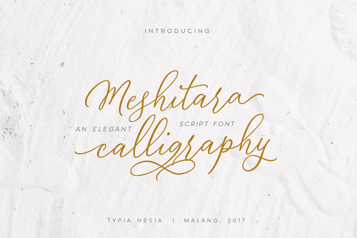 Meshitara Elegant Font preview 2