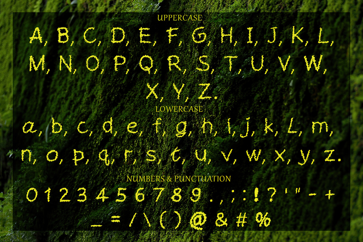 REFY - moss fuzzy font, a Serif Font by CHIMERA (Photo 2 of 8)