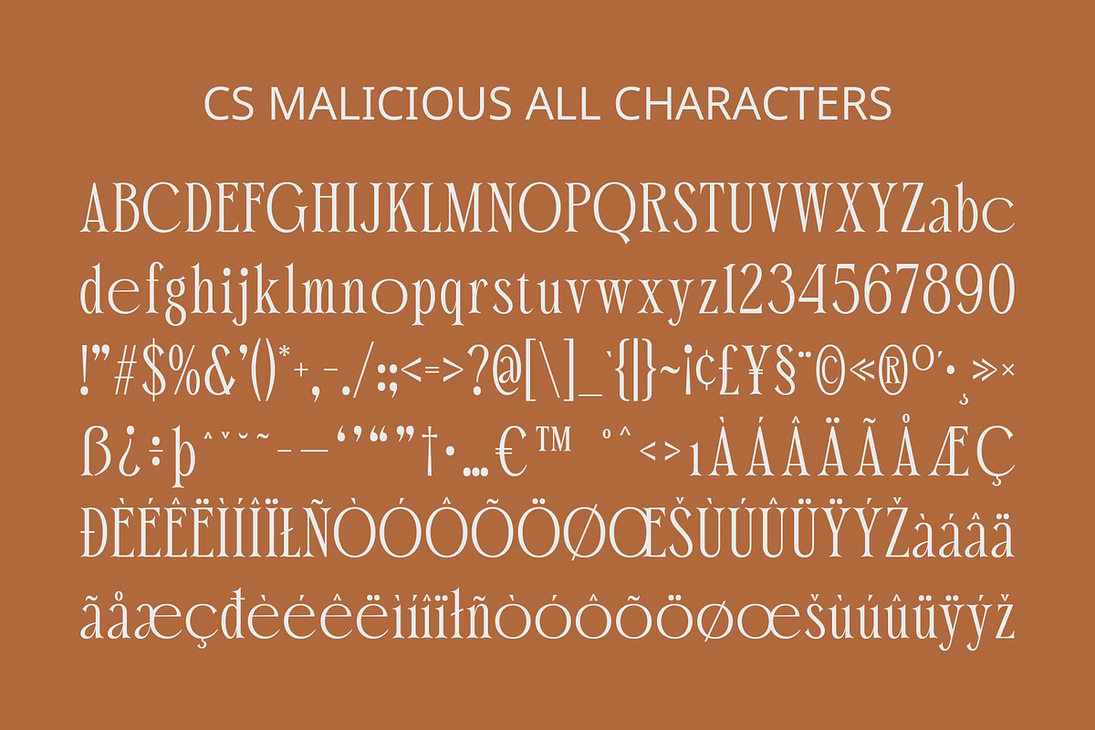 CS Malicious – Elegant Font, a Serif Font by Craft Supply Co. (Photo 8 of 8)