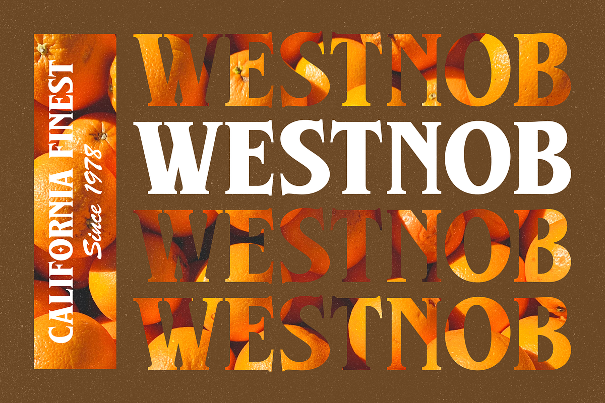 Westnob - Classic Display Serif, a Serif Font by Twicolabs Fontdation (Photo 8 of 9)