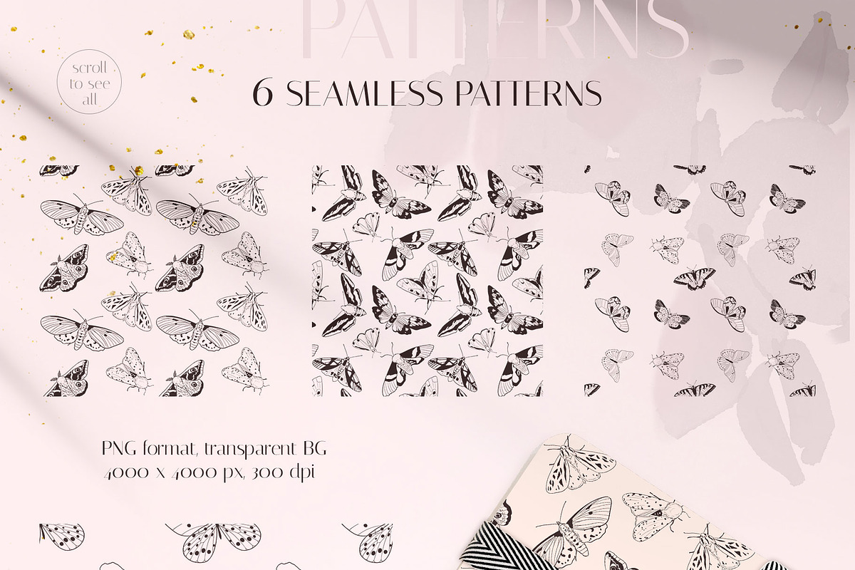 MOTHS & BUTTERFLIES illustration set, an Animal Illustration by Yuliia Lashevska (Photo 11 of 13)