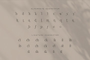 Gislen Elegant Serif Font, a Serif Font by Graphicxell (Thumbnail 8 of 8)