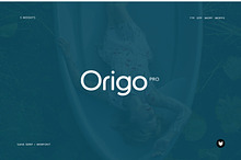 Origo Pro Modern Display Typeface