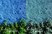 Tropical Moody Lightroom Preset, a Plug-in Add-On by PresetHeroes (Thumbnail 5 of 5)