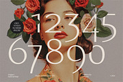 Montier Elegant Display, a Sans Serif Font by Glowtype (Thumbnail 5 of 15)